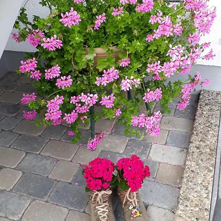 赫萨特尔公寓 公寓 洛伊塔施