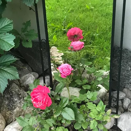 Haus Hoher Sattel Leutasch