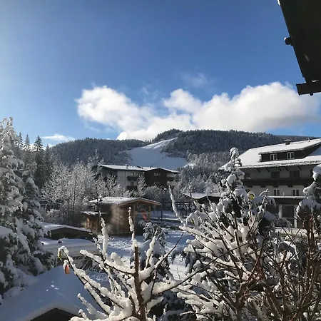 Haus Hoher Sattel *