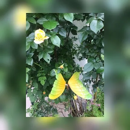 赫萨特尔公寓 * 洛伊塔施