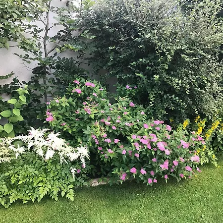 公寓 赫萨特尔公寓