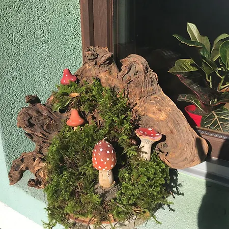 Haus Hoher Sattel Apartment