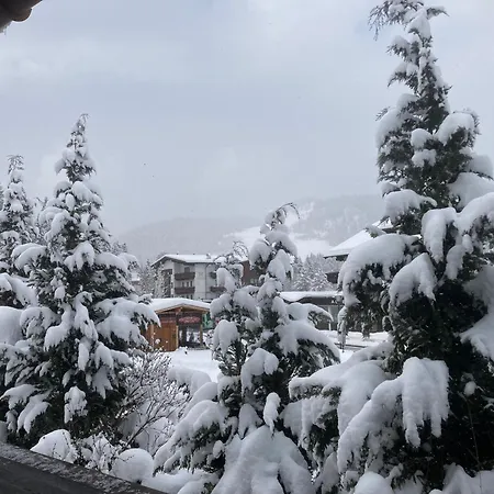 Haus Hoher Sattel Daire *