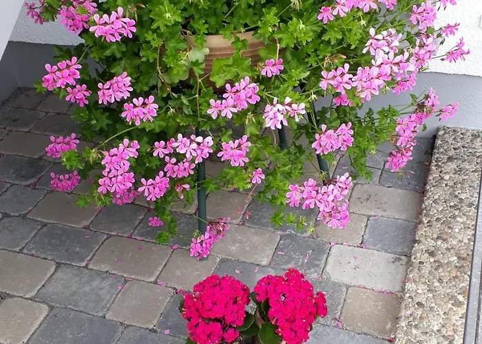 Haus Hoher Sattel Apartmán Leutasch