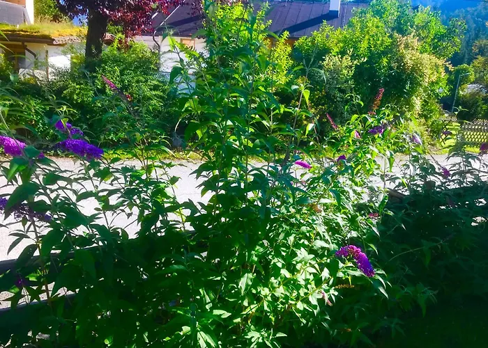 Haus Hoher Sattel Leutasch