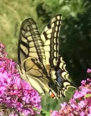 Apartmán Haus Hoher Sattel *