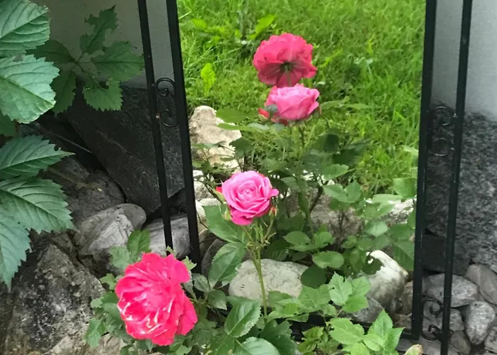 Haus Hoher Sattel Leutasch