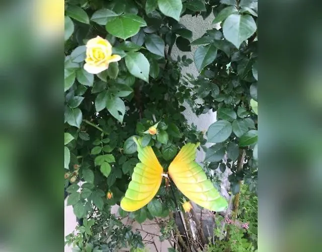 Haus Hoher Sattel * Leutasch