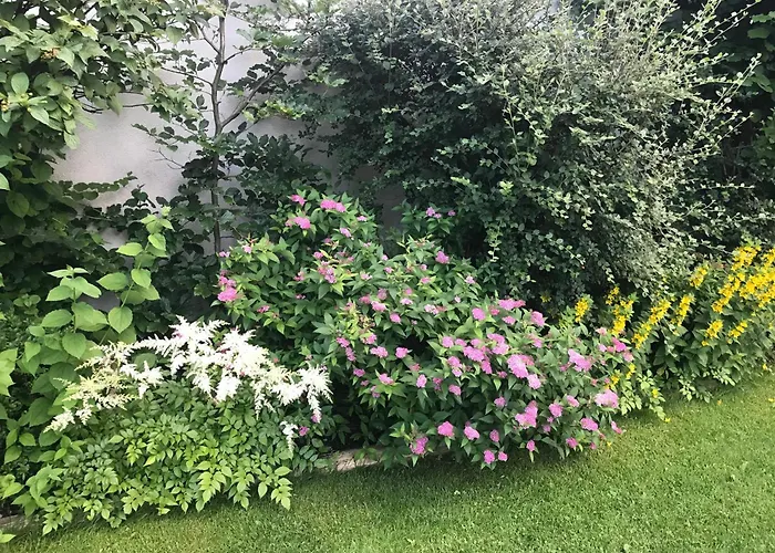 Apartmán Haus Hoher Sattel