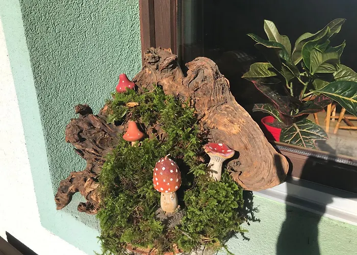 Haus Hoher Sattel Apartmán