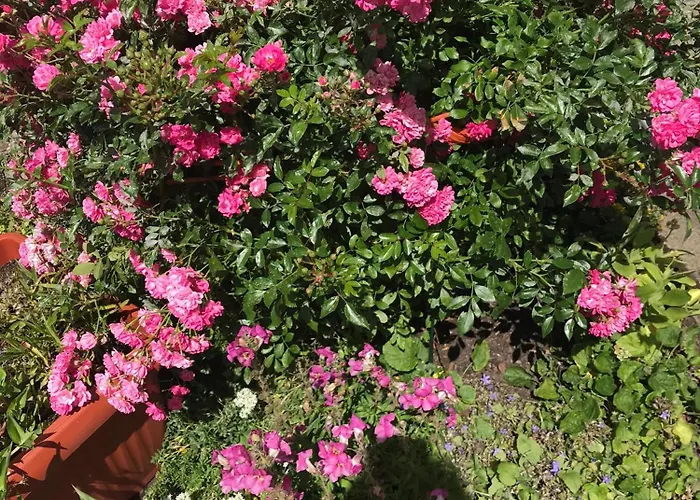 Haus Hoher Sattel Apartmán *