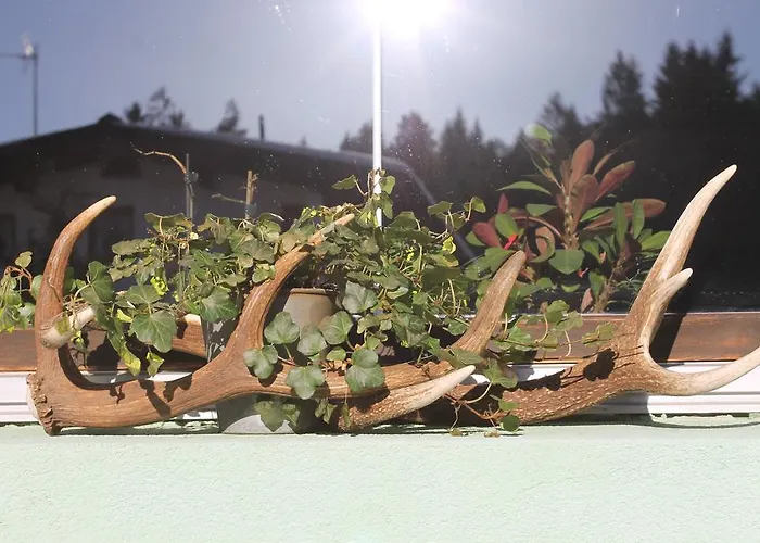 Haus Hoher Sattel * Leutasch