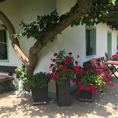Haus Hoher Sattel Leutasch