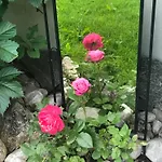 Haus Hoher Sattel Leutasch